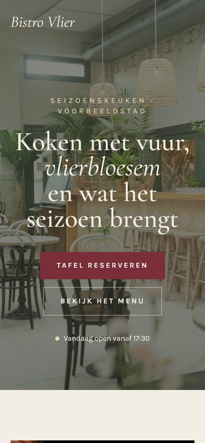 Voorbeeldwebsite Bistro Vlier op een telefoon