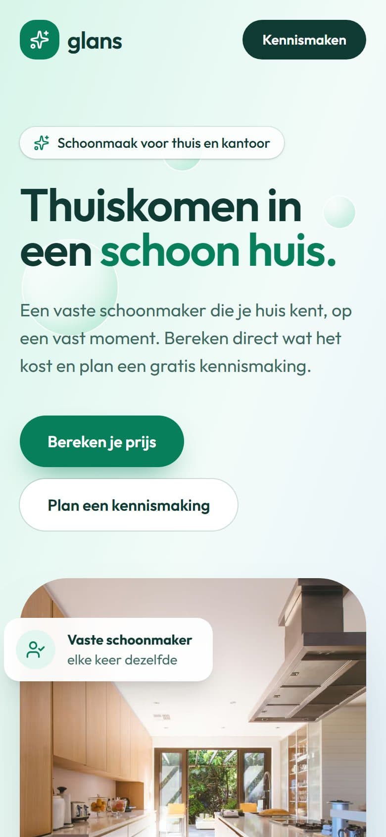 Voorbeeldwebsite Glans Schoonmaak op een telefoon